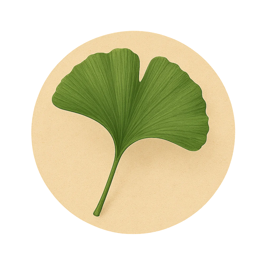 Extracto de hoja de Ginko